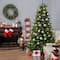 9ft. Pre-Lit PowerConnect™ Princeton Fraser Fir Artificial Christmas Tree, Dual Color® LED Lights